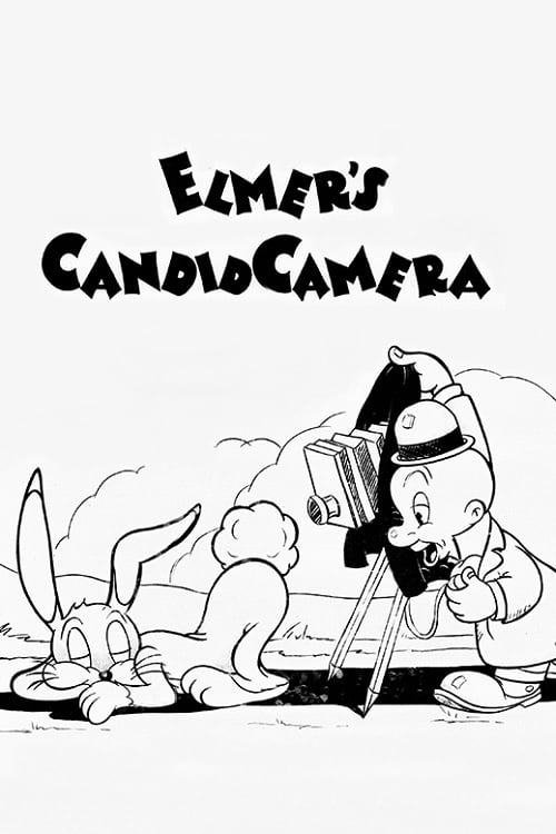 Elmer, apprenti photographe